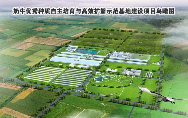 山東種業(yè)集團:培厚新動能,努力打造"中國芯"|強信心 穩(wěn)經(jīng)濟 促發(fā)展