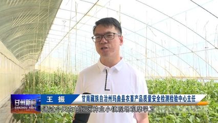全省農業社會化服務現場推進會與會人員在我區觀摩