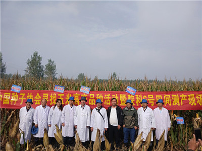 豐樂種業(yè):釋放創(chuàng)新活力 跑出科研&ldquo;加速度&rdquo;