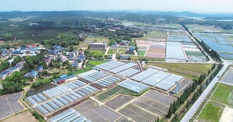 長沙縣啟動第一批種業(yè)小鎮(zhèn)建設(shè) 助力現(xiàn)代農(nóng)業(yè)發(fā)展