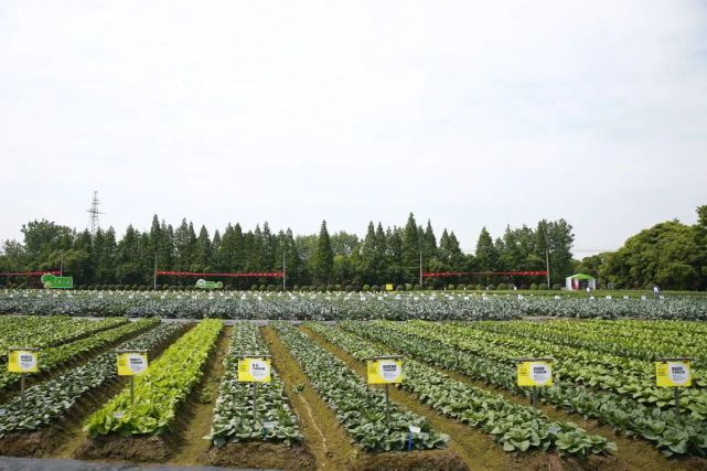 2022浙江種業(yè)博覽會(huì)明日盛大開(kāi)幕，助推現(xiàn)代種業(yè)創(chuàng)新發(fā)展