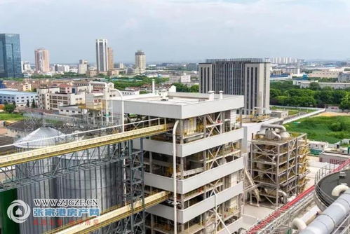 江海糧油張家港產(chǎn)業(yè)園二期榨油廠順利投產(chǎn)，年產(chǎn)96萬噸助力種業(yè)與糧油產(chǎn)業(yè)鏈協(xié)同發(fā)展